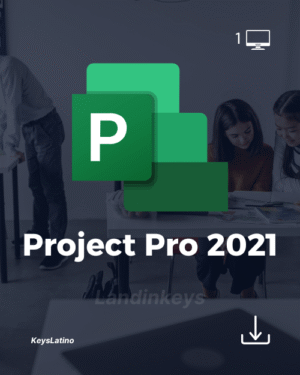 Project 2021 Professional Original - Gestión de Proyectos Avanzada